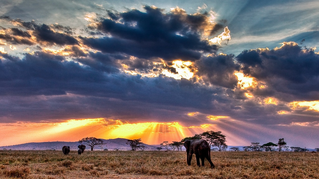 Serengeti-Sunset in Savannah